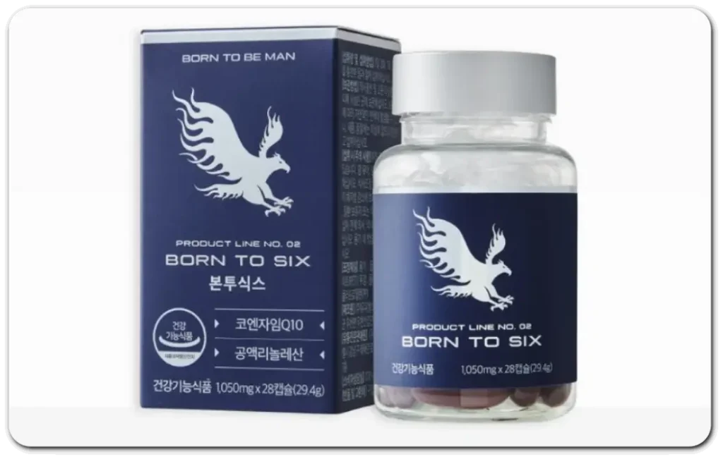 본투식스