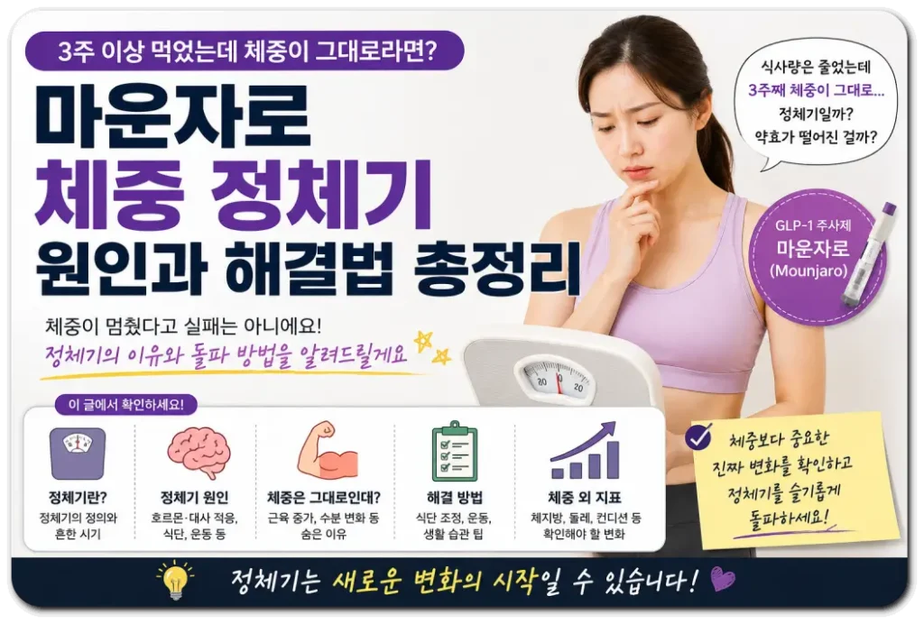 마운자로-체중정체기-해결방법